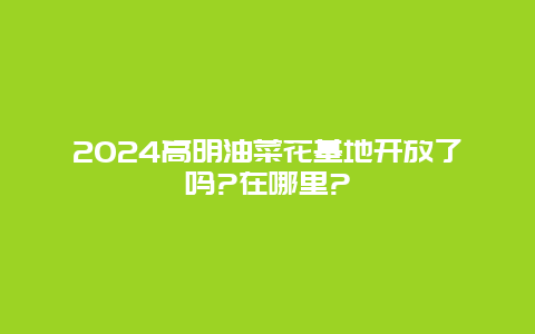 2024高明油菜花基地开放了吗?在哪里?