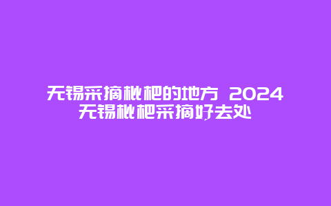 无锡采摘枇杷的地方 2024无锡枇杷采摘好去处