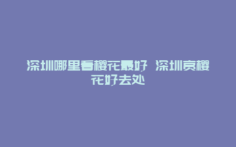 深圳哪里看樱花最好 深圳赏樱花好去处