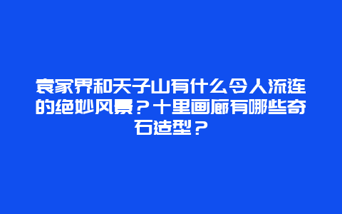 袁家界和天子山有什么令人流连的绝妙风景？十里画廊有哪些奇石造型？