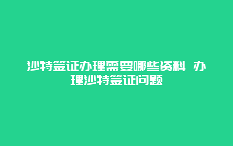 沙特签证办理需要哪些资料 办理沙特签证问题