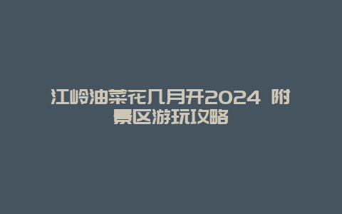 江岭油菜花几月开2024 附景区游玩攻略