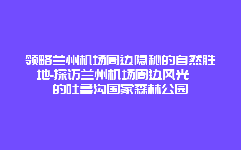 领略兰州机场周边隐秘的自然胜地-探访兰州机场周边风光旖旎的吐鲁沟国家森林公园