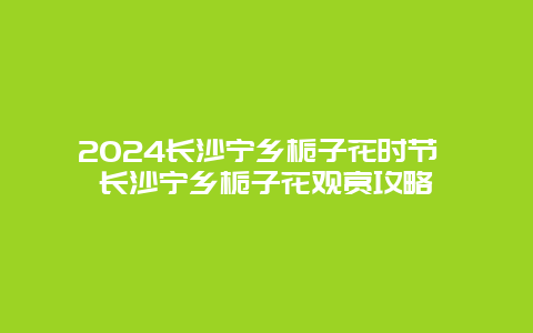 2024长沙宁乡栀子花时节 长沙宁乡栀子花观赏攻略