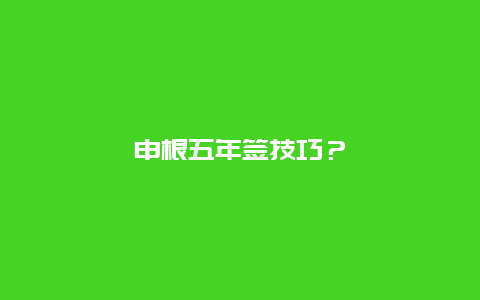 申根五年签技巧？