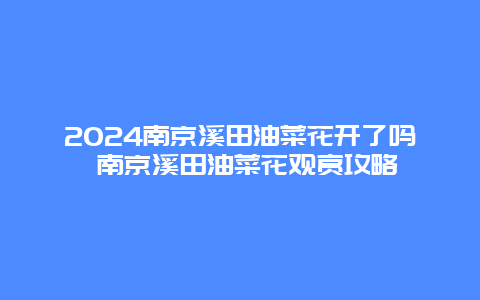 2024南京溪田油菜花开了吗 南京溪田油菜花观赏攻略