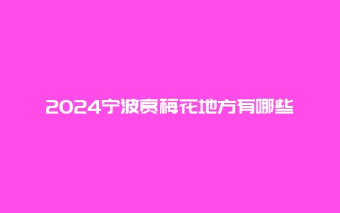 2024宁波赏梅花地方有哪些