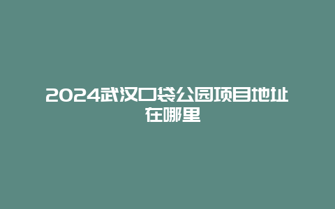 2024武汉口袋公园项目地址 在哪里