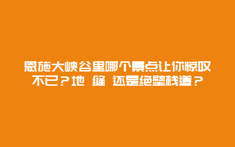 恩施大峡谷里哪个景点让你惊叹不已？地 缝 还是绝壁栈道？