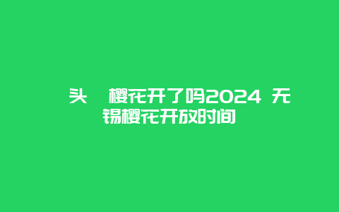 鼋头渚樱花开了吗2024 无锡樱花开放时间