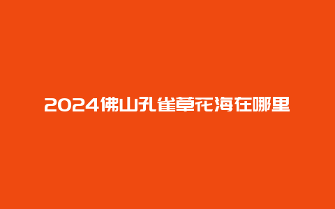 2024佛山孔雀草花海在哪里