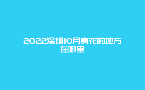 2022深圳10月赏花的地方在哪里