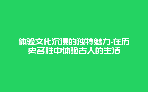 体验文化沉浸的独特魅力-在历史名胜中体验古人的生活