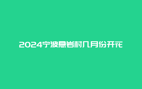 2024宁波悬岩村几月份开花