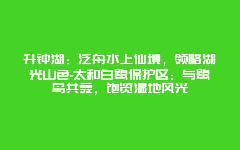 升钟湖：泛舟水上仙境，领略湖光山色-太和白鹭保护区：与鹭鸟共舞，饱览湿地风光