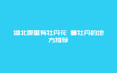 湖北哪里有牡丹花 看牡丹的地方推荐