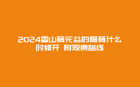 2024香山梅花谷的腊梅什么时候开 附观赏路线