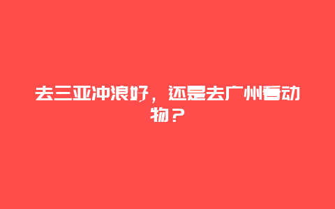 去三亚冲浪好，还是去广州看动物？