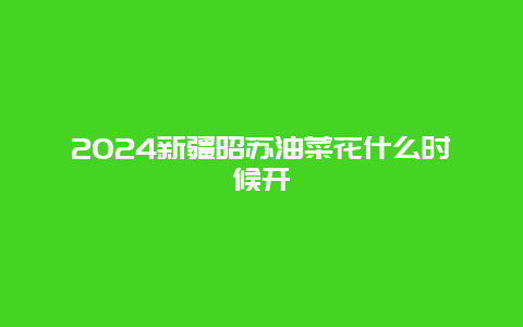 2024新疆昭苏油菜花什么时候开