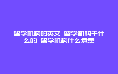 留学机构的英文 留学机构干什么的 留学机构什么意思