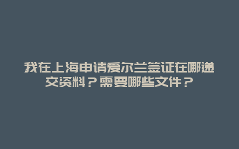 我在上海申请爱尔兰签证在哪递交资料？需要哪些文件？