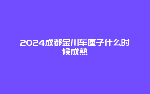 2024成都金川车厘子什么时候成熟