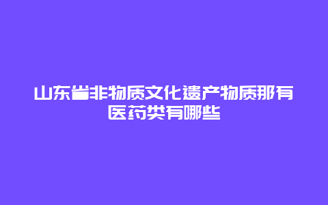 山东省非物质文化遗产物质那有医药类有哪些