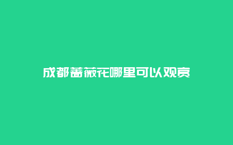 成都蔷薇花哪里可以观赏