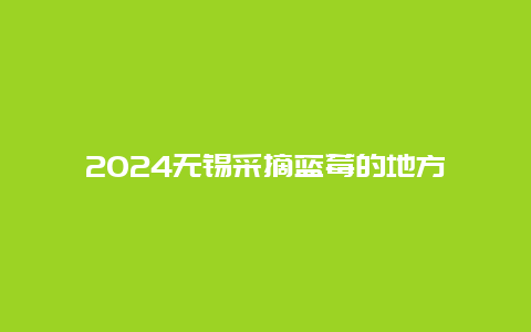 2024无锡采摘蓝莓的地方