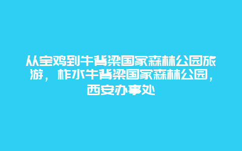 从宝鸡到牛背梁国家森林公园旅游，柞水牛背梁国家森林公园，西安办事处