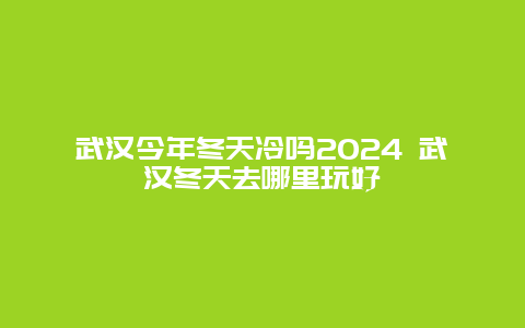 武汉今年冬天冷吗2024 武汉冬天去哪里玩好