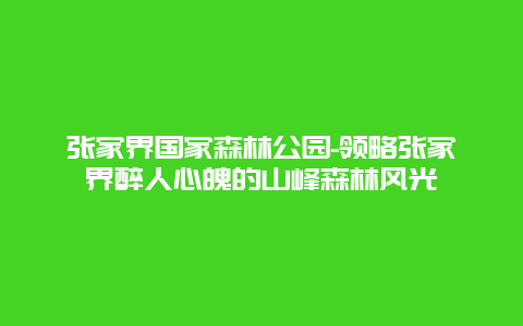 张家界国家森林公园-领略张家界醉人心魄的山峰森林风光