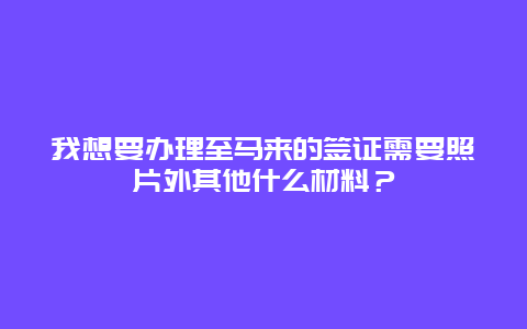 我想要办理至马来的签证需要照片外其他什么材料？