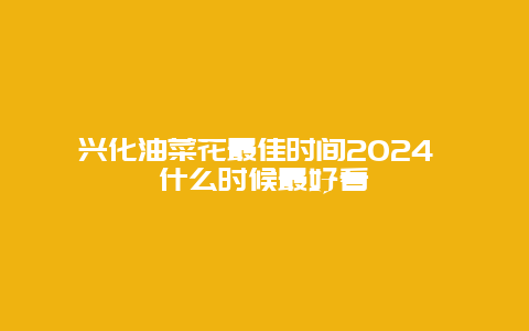 兴化油菜花最佳时间2024 什么时候最好看