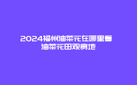 2024福州油菜花在哪里看 油菜花田观赏地