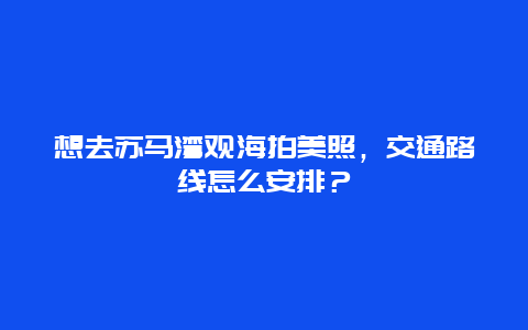 想去苏马湾观海拍美照，交通路线怎么安排？