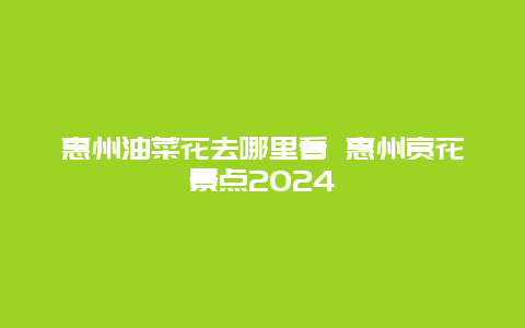 惠州油菜花去哪里看 惠州赏花景点2024