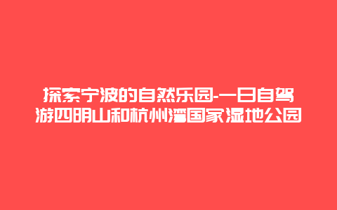 探索宁波的自然乐园-一日自驾游四明山和杭州湾国家湿地公园