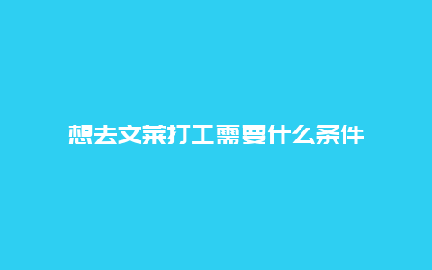 想去文莱打工需要什么条件