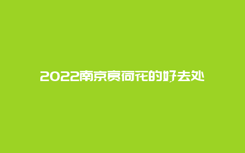 2022南京赏荷花的好去处