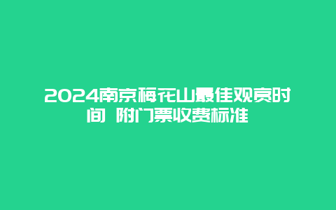 2024南京梅花山最佳观赏时间 附门票收费标准