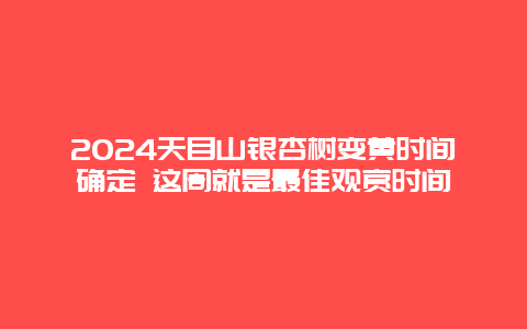 2024天目山银杏树变黄时间确定 这周就是最佳观赏时间