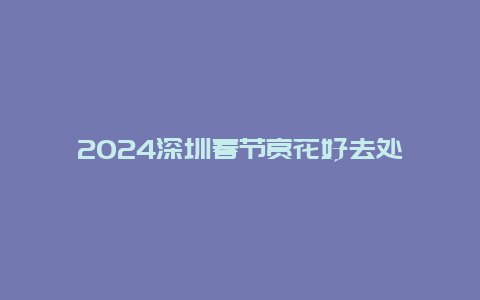 2024深圳春节赏花好去处