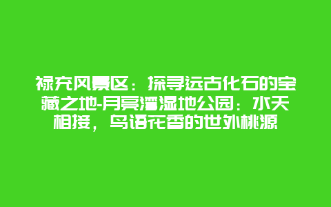 禄充风景区：探寻远古化石的宝藏之地-月亮湾湿地公园：水天相接，鸟语花香的世外桃源