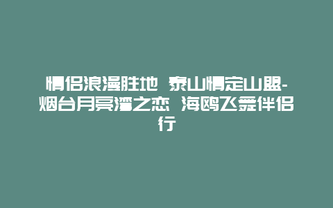 情侣浪漫胜地 泰山情定山盟-烟台月亮湾之恋 海鸥飞舞伴侣行