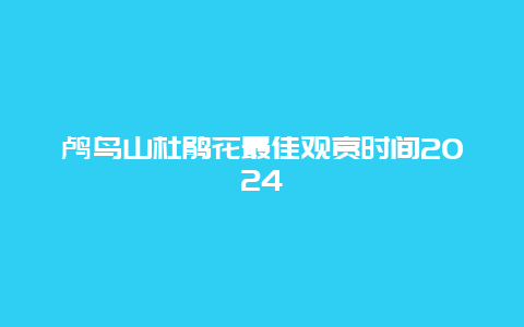 鸬鸟山杜鹃花最佳观赏时间2024