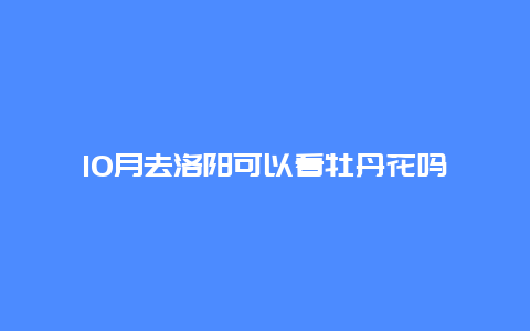 10月去洛阳可以看牡丹花吗