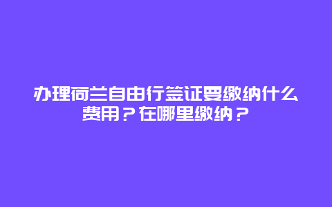 办理荷兰自由行签证要缴纳什么费用？在哪里缴纳？