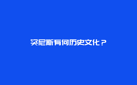 突尼斯有何历史文化？