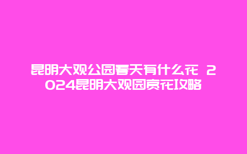 昆明大观公园春天有什么花 2024昆明大观园赏花攻略